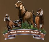 Anglo Nubian Goat Society