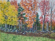 A fall scene of a stone wall, field, and woods in Maine