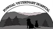 Pownal Maine Veterinary Hospital